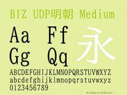 BIZ UDPGothic Regular Font preview
